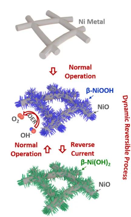 Open access visualization of Workflow, Illustration, Schematic Illustration, Reaction Process, Anode