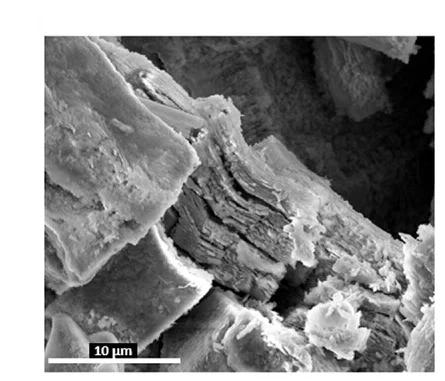 Open access visualization of Microscopy, SEM, Ni Cathode, AST Cycles