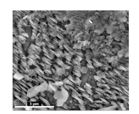 Open access visualization of Microscopy, SEM, Ni Cathode, AST Cycles