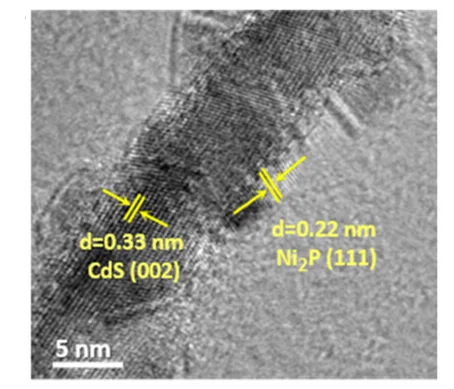 Open access visualization of Microscopy, HRTEM Images, 12NP/CdS Composite