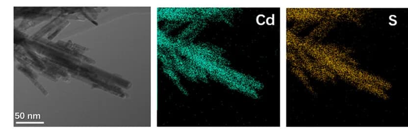 Open access visualization of Microscopy, TEM Image, EDS Mapping, Cd, S