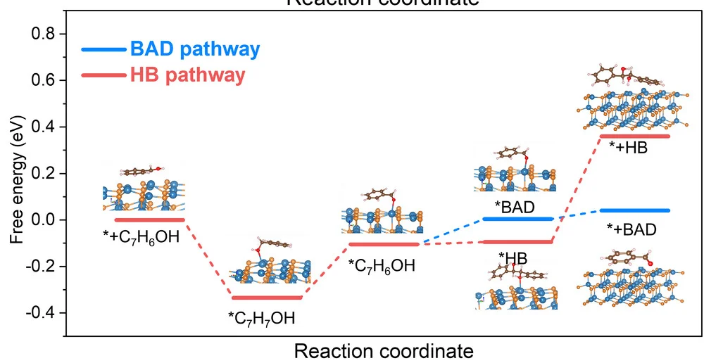 Open access visualization of Line Plot, Line Step, Free Energy Diagram, BA Oxidation, BAD