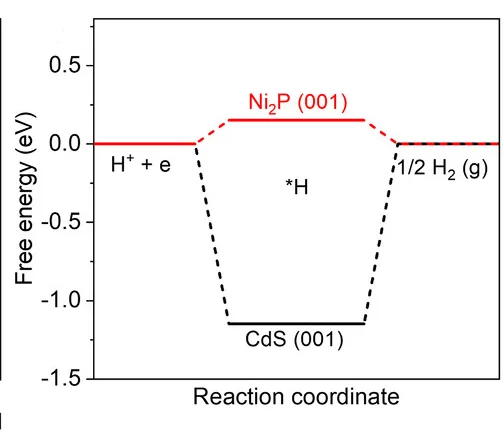 Open access visualization of Line Plot, Line Step, Hydrogen Adsorption, Free Energy, CdS