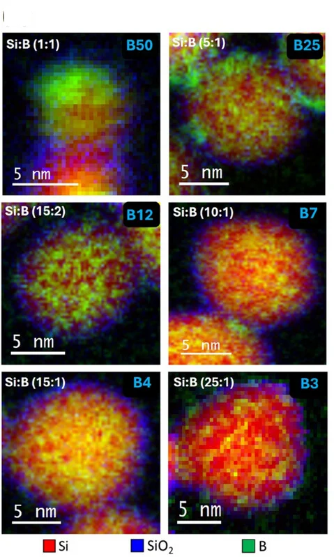 Open access visualization of Microscopy, STEM-EELS, Si-B NPs, Boron Concentrations, Particle Size