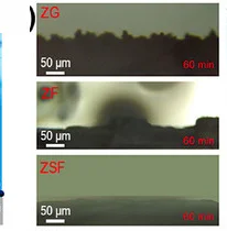 Open access visualization of Microscopy, Microscopy Images, Zinc Plating, Electrolyte