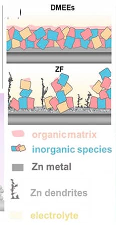Open access visualization of Illustration, Dendrites, Side Reactions, Zinc Anode, Electrolyte