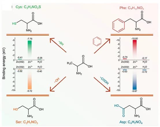 Open access visualization of Workflow, Illustration, Bar Plot, Schematic, Amino Acids