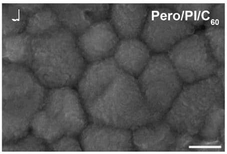 Open access visualization of Microscopy, Photo, SEM Images, Perovskite, PI/C60