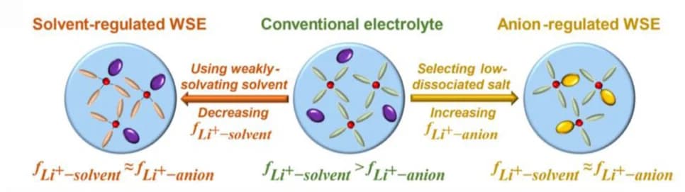 Open access visualization of Workflow, Illustration, Solvation Structures, Electrolytes