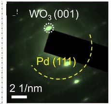 Open access visualization of Microscopy, SAED Patterns