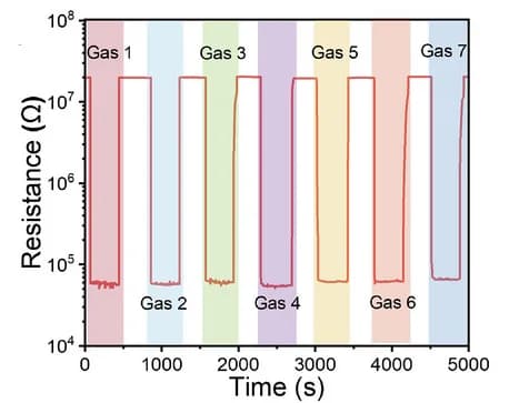 Open access visualization of Line Plot, Line Step, Interfering Tolerance, Ce-Pd/WO3 Sensor, H2