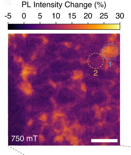 Open access visualization of Heatmap, Spatial Map, PL Intensity, Magnetic Field