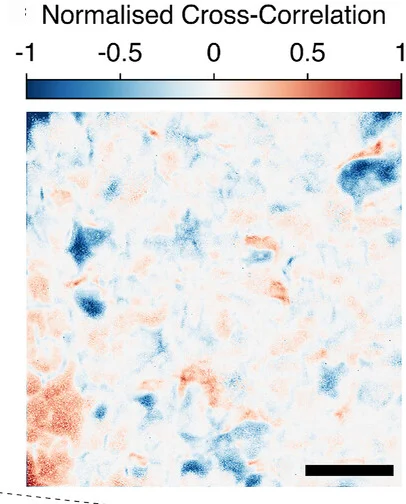 Open access visualization of Heatmap, Correlation Map, Cross-correlation, Zero Field, PL Images