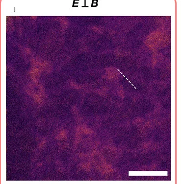 Open access visualization of Microscopy, PL Intensity, Thin Film, Magnetic Field, Polarized Emission