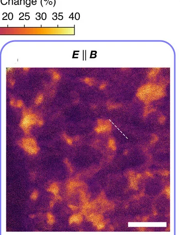Open access visualization of Microscopy, PL Intensity, Thin Film, Magnetic Field, Polarized Emission