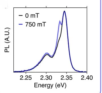 Open access visualization of Line Plot, PL Spectra, Magnetic Field, Polarization