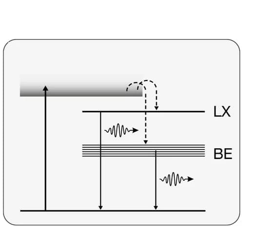 Open access visualization of Workflow, Flowchart, Illustration, Excitons, Defect