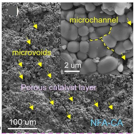 Open access visualization of Microscopy, NFA-CA, Catalysts, SEM