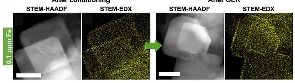 Open access visualization of Microscopy, STEM-HAADF, EDX, Co3O4NPs, Iron K-alpha