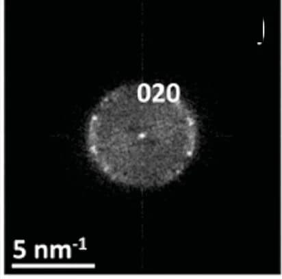 Open access visualization of Microscopy, Diffractogram, Electron Diffraction Patterns