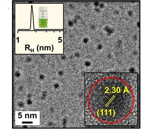 Open access visualization of Microscopy, Line Plot, Cryo-TEM, Hexaniobate, CuO NCs