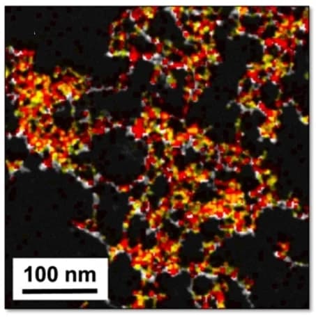 Open access visualization of Microscopy, Energy-Dispersive X-Ray, HAADF Imaging, Copper, Niobium