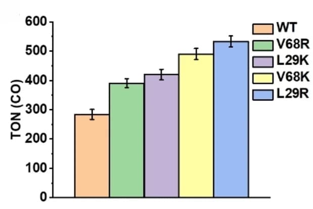 Open access visualization of Bar Plot, Error Bars, Turnover Number, Carbon Monoxide, Photoirradiation