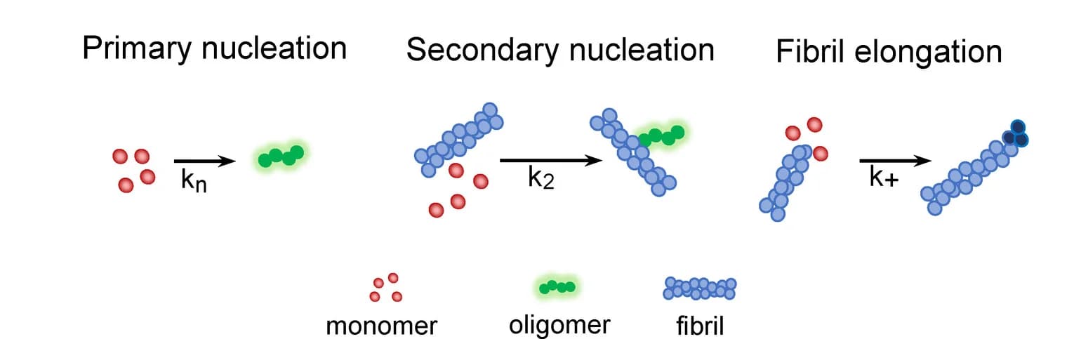 Open access visualization of Workflow, Illustration, Fibril Formation, Rate Constants, Primary Nucleation