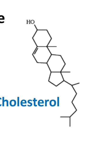 Open access visualization of Chemical Structure, Cholesterol