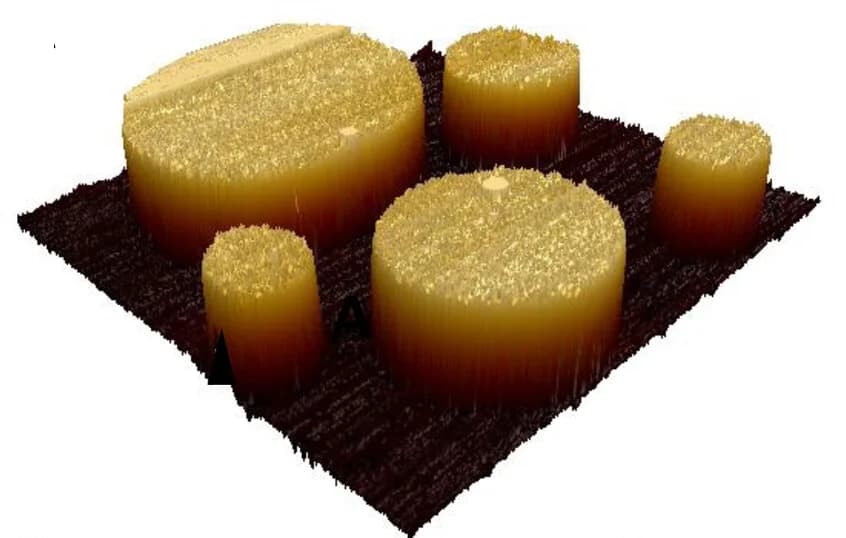 Open access visualization of 3D Plot, AFM, Lipid Bilayer, Mica