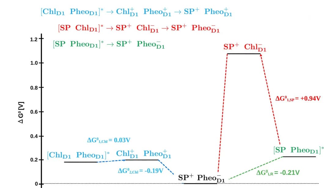 Open access visualization of Line Plot, Line Step, Gibbs Free Energy, Electron Transfer, Pathways