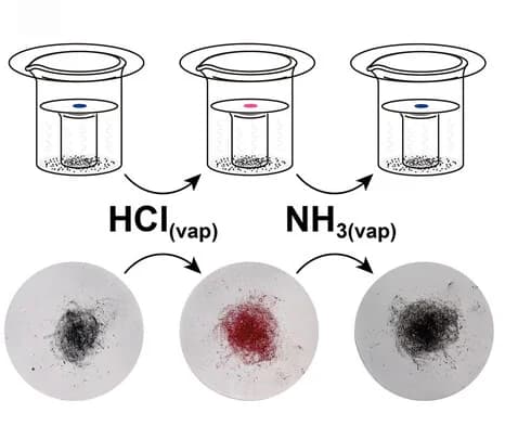 Open access visualization of Workflow, Illustration, Vapor Diffusion, Cellulose Filter, HCl Vapor