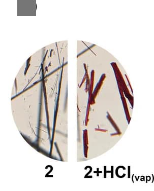 Open access visualization of Microscopy, Crystal, HCl Vapor