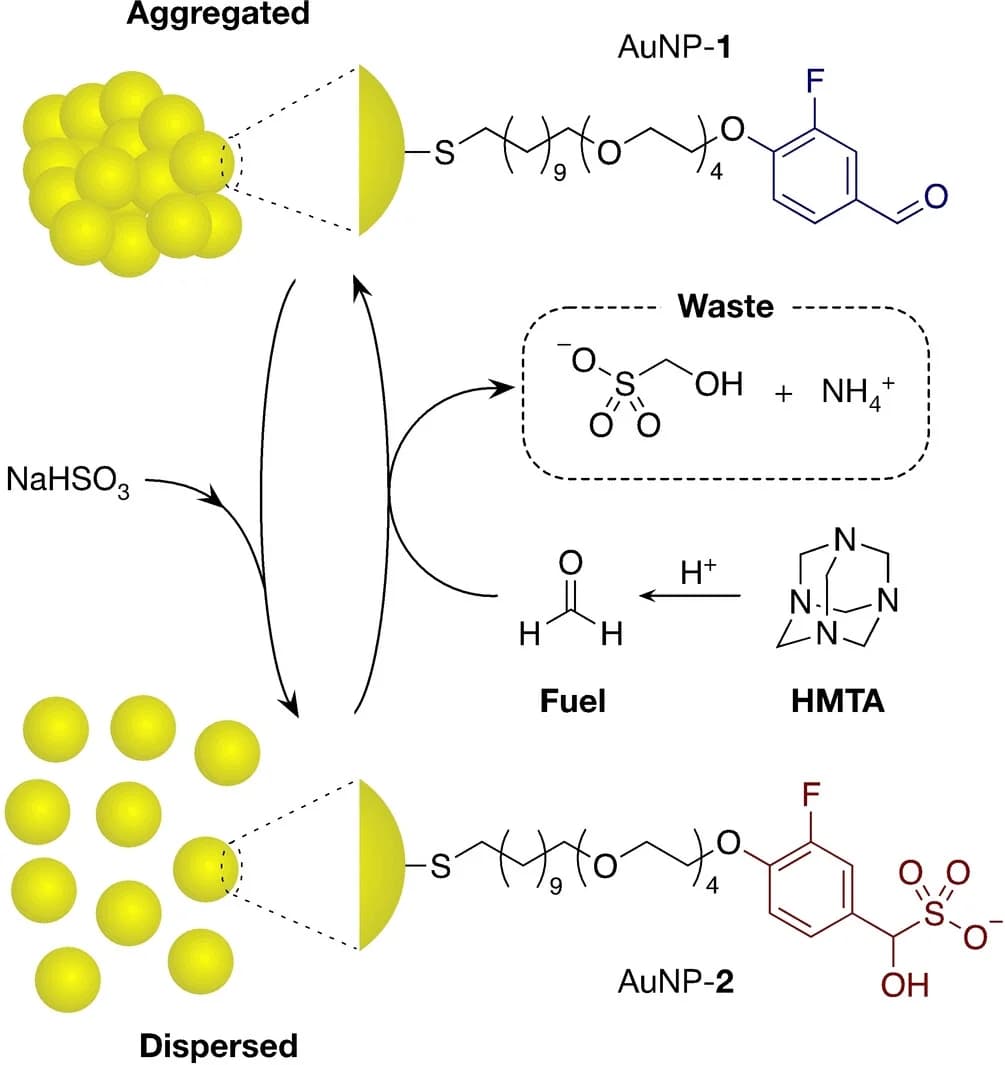 Open access visualization of Workflow, Illustration, Dispersion, Precipitation, Gold Nanoparticles