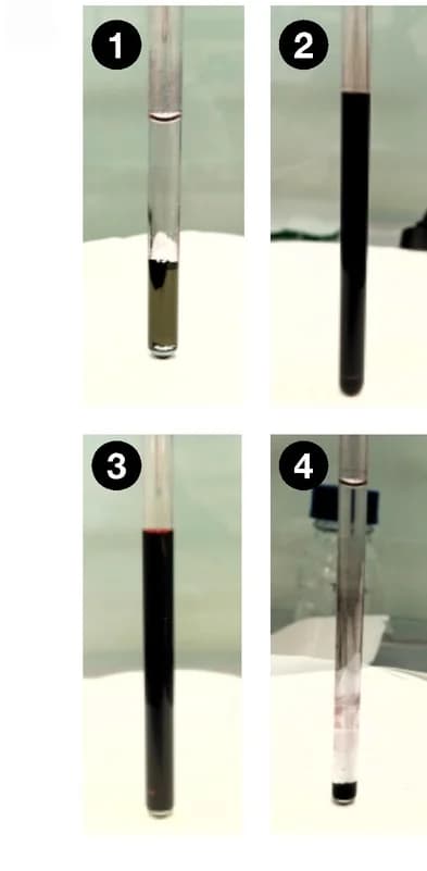 Open access visualization of Photo, NMR Spectra, Optical Photographs, AuNP-1, AuNP-2