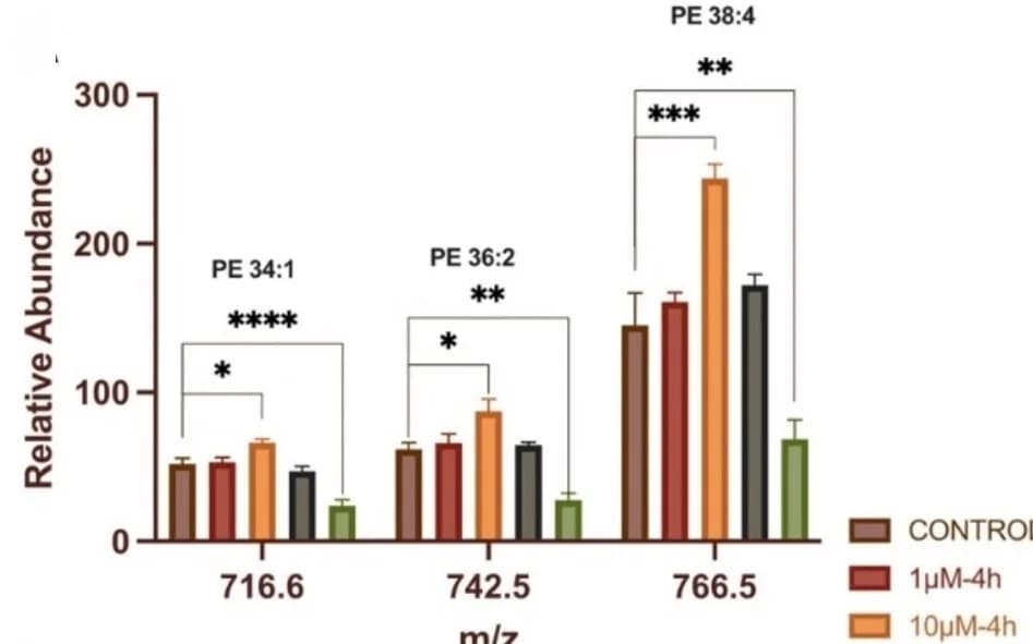 Open access visualization of Bar Plot, Error Bars, Clustered, PE, PE-O