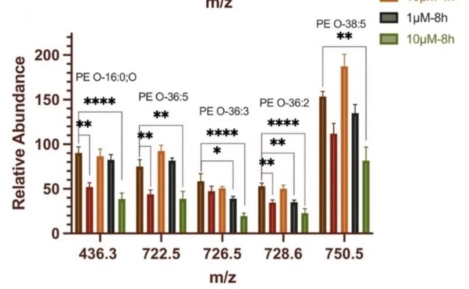Open access visualization of Bar Plot, Error Bars, Clustered, PE, PE-O