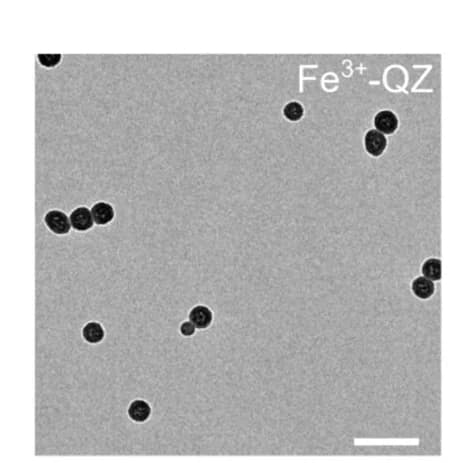 Open access visualization of Microscopy, TEM Images, MQN Particles, Quinones