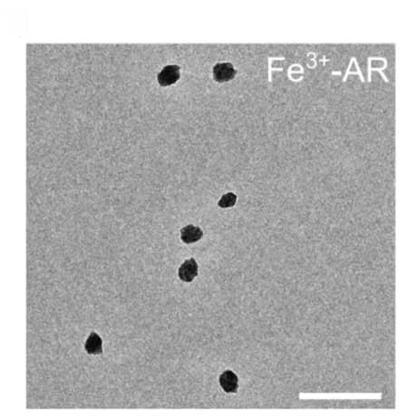 Open access visualization of Microscopy, TEM Images, MQN Particles, Quinones