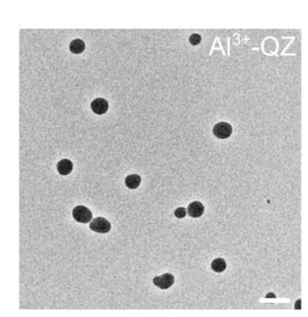 Open access visualization of Microscopy, TEM Images, MQN Particles, Metal Ions
