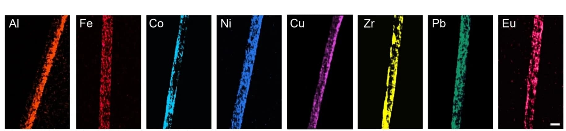 Open access visualization of Microscopy, EDS Images, MQN Coatings, Polyester Fibers, Metal Ions