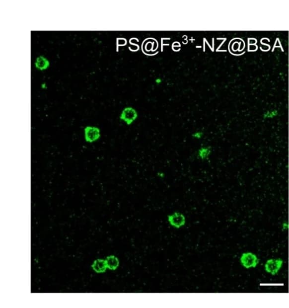 Open access visualization of Microscopy, CLSM image, PS@Fe3+-NZ@BSA particles, BSA, FITC