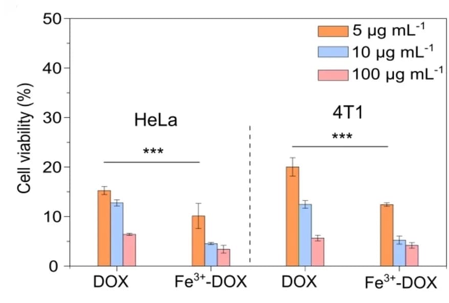 Open access visualization of Bar Plot, Error Bars, Clustered, AFM Image, Fe3+-SK Capsules