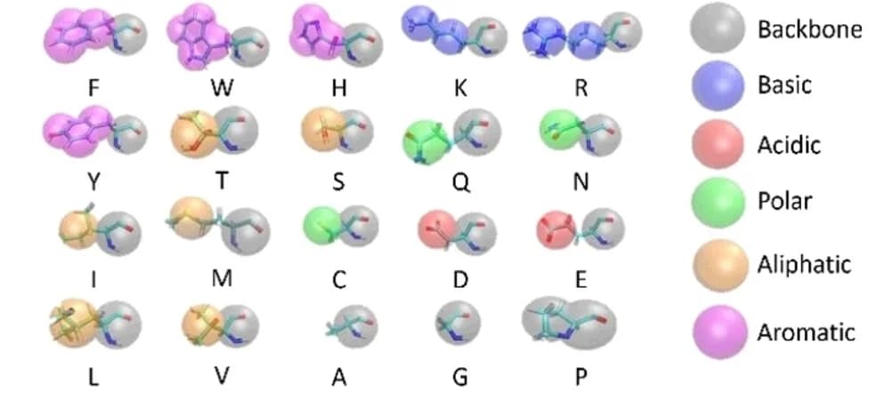 Open access visualization of Chemical Structure, Amino Acid, MARTINI, Coarse-grained bead