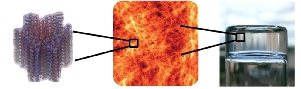 Open access visualization of Protein Structure, Photo, Microscopy, Heatmap, Computational Design