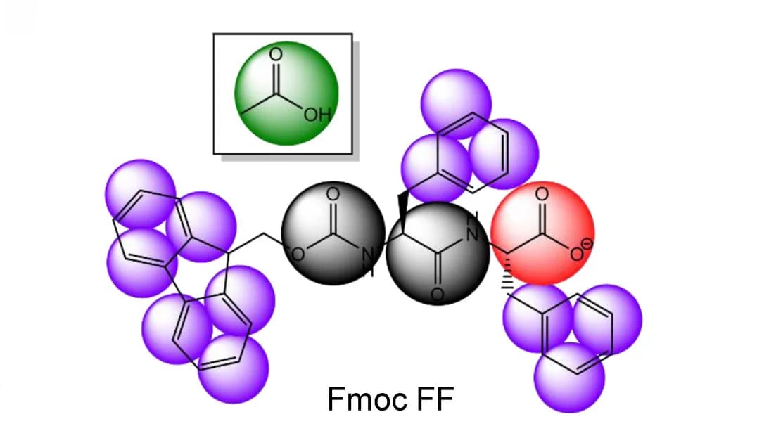 Open access visualization of Chemical Structure, Fmoc-FF Model, Carboxylate Bead, Carboxylic Acid