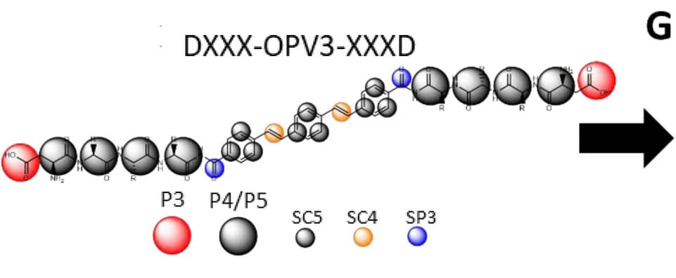 Open access visualization of Chemical Structure, CG Model, Sequence Space
