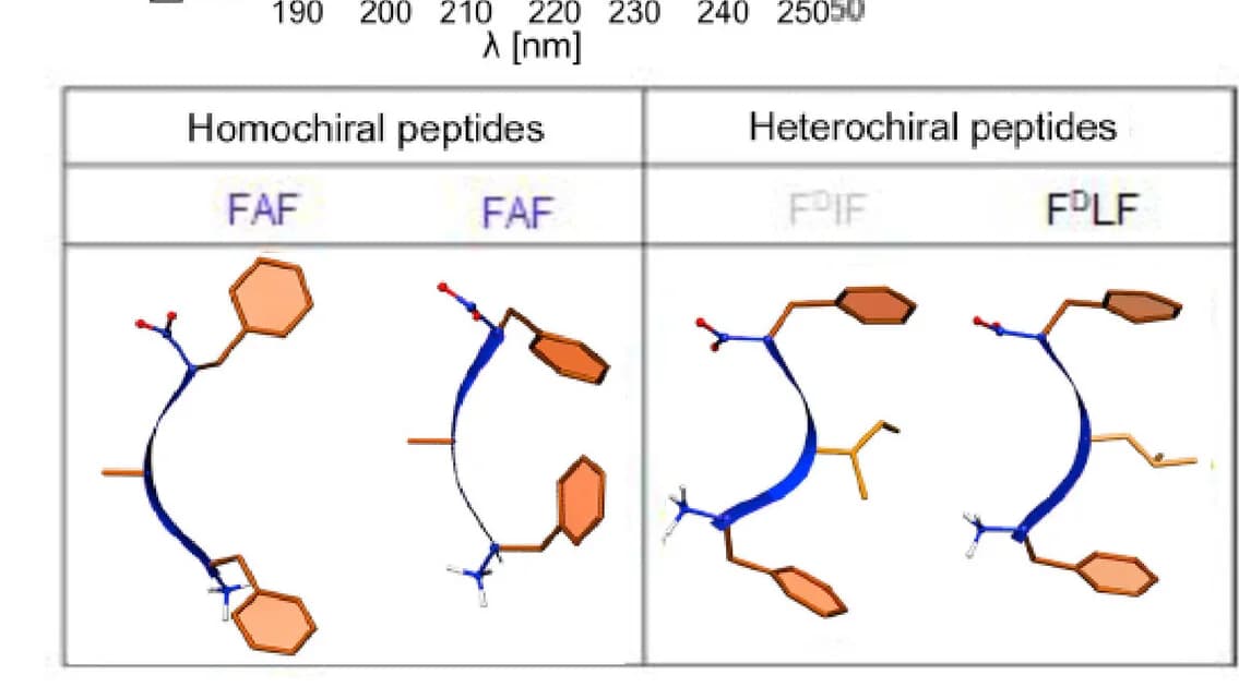Open access visualization of Chemical Structure, Illustration, Table Image, Amphiphilic Conformation, Hydrophobic Side Chain