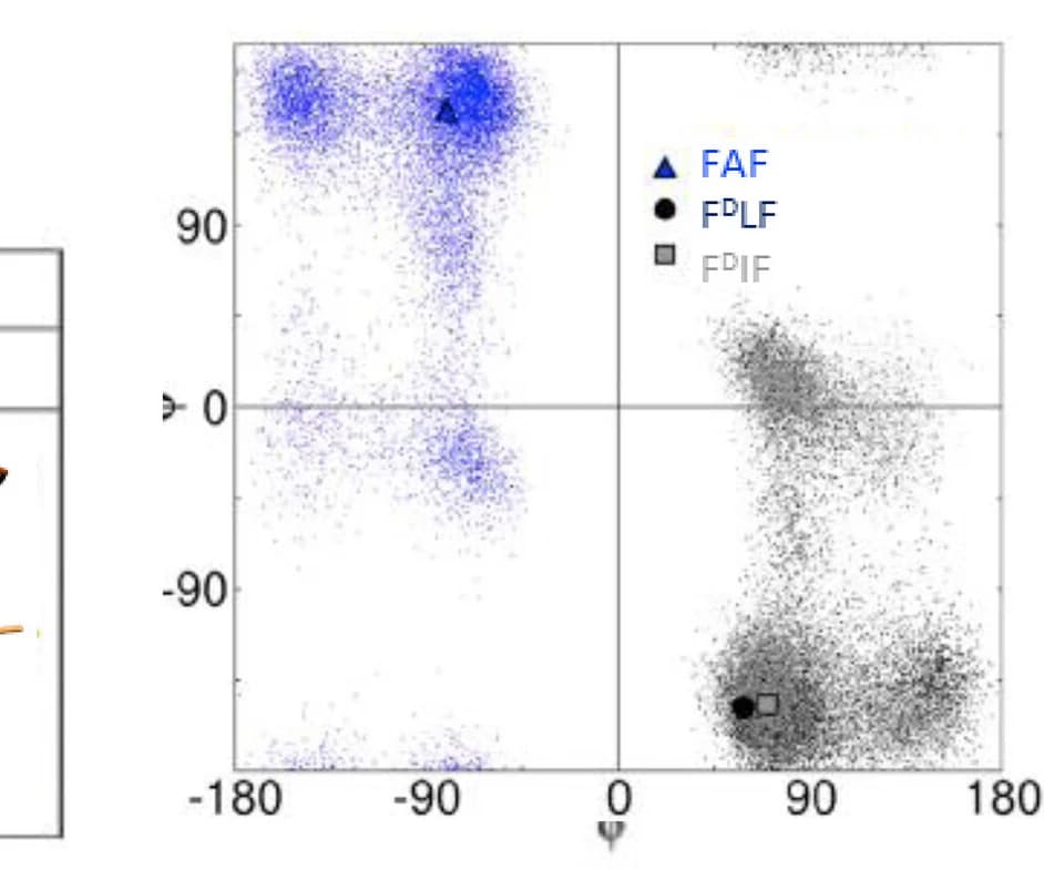 Open access visualization of Scatter Plot, Ramachandran Plot, Conformations, Tripeptides