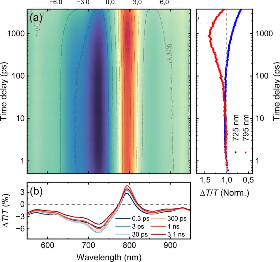 Open access visualization of Line Plot, Heatmap, Time traces, Wavelengths, Pump wavelength